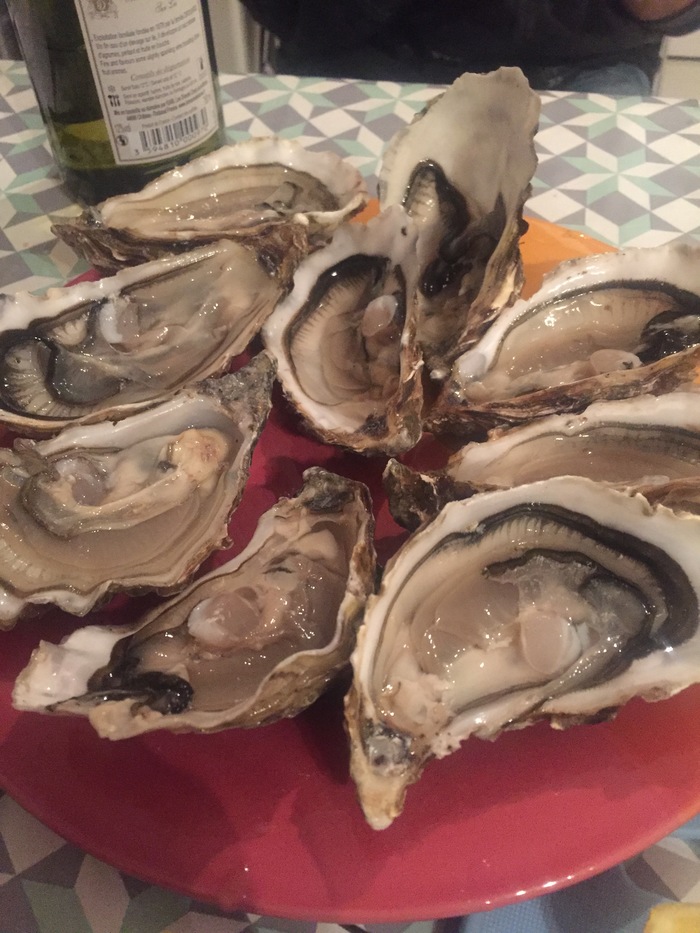 Why not write about oysters? - My, Oysters, Atlantic, My, Delicacy, Longpost