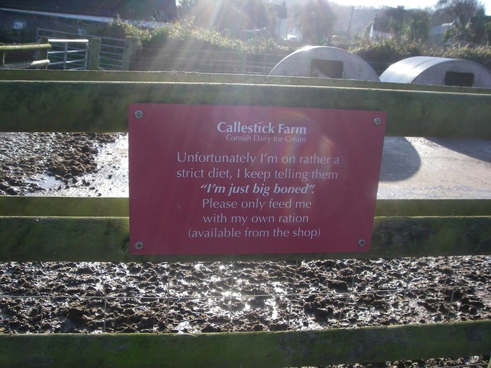 Lettering on a farm in Cornwall - My, Farm, England, Cornwall, , The photo