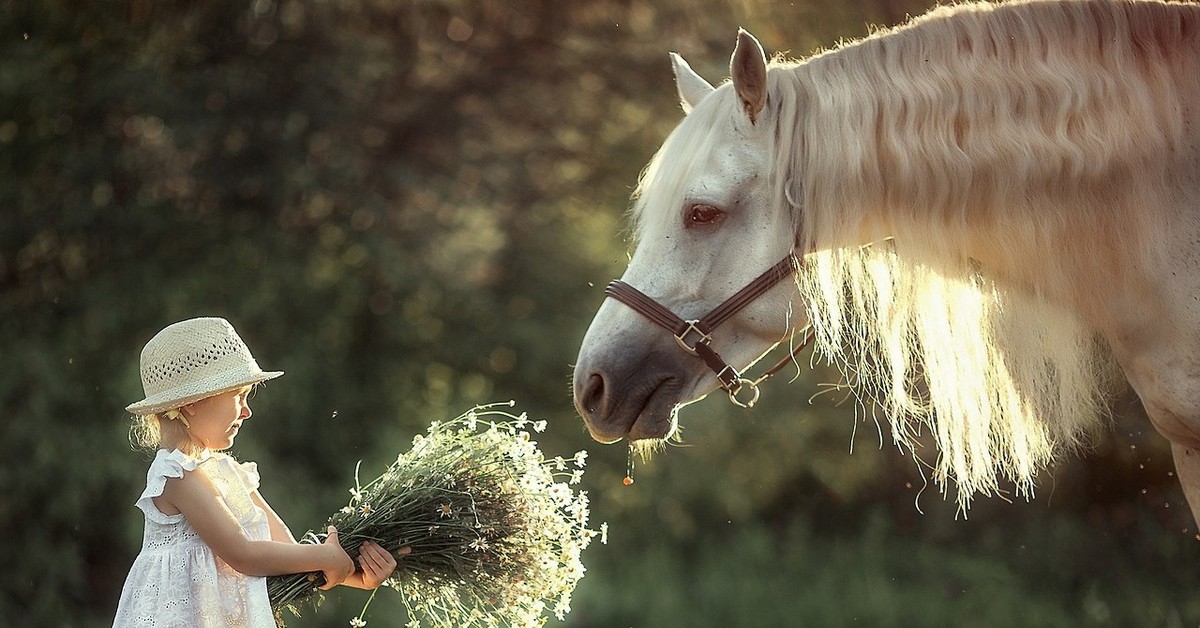 Песня дайте мне коня доброго. Лошадь для детей. Девушка с лошадкой. Добрый конь. Красивый лошади с малышами.