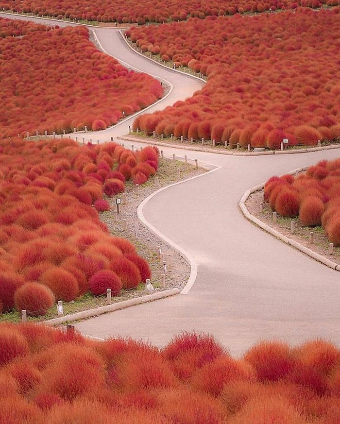 Autumn in Japan - Travels, Japan, Autumn, Nature, Landscape, The photo