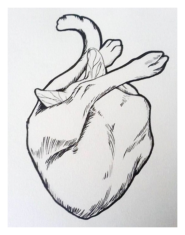 Cat-shaped heart - Animals, Milota, Drawing, Heart, cat, My
