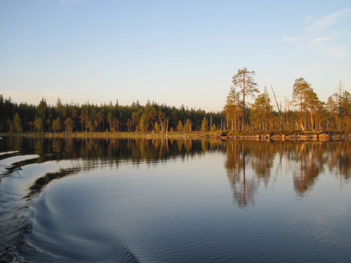 A piece of sunny Karelia. - Summer, Карелия, , Longpost, Lake, Nature