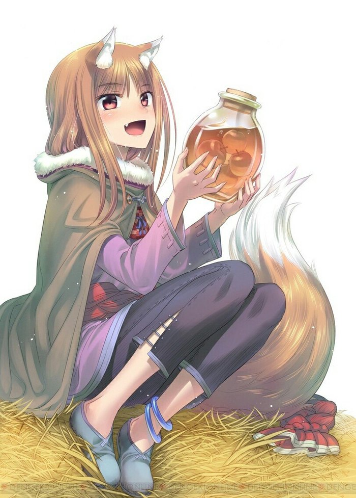  Spice and Wolf, , , Anime Art, Holo, Horo