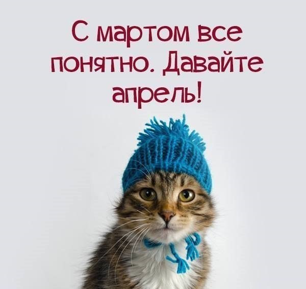 It was the sixth month of winter - cat, Cap