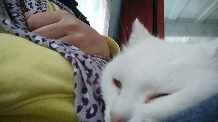    ))) , , 