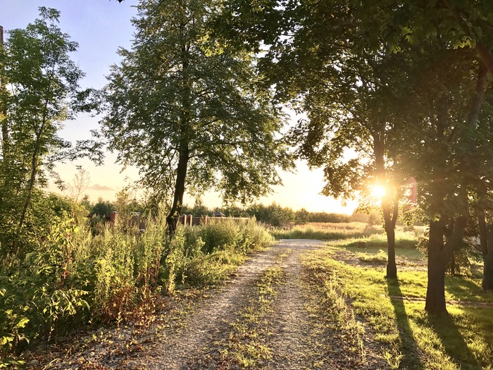 Piece of summer - My, Summer, Village, Sunset, The sun, The photo