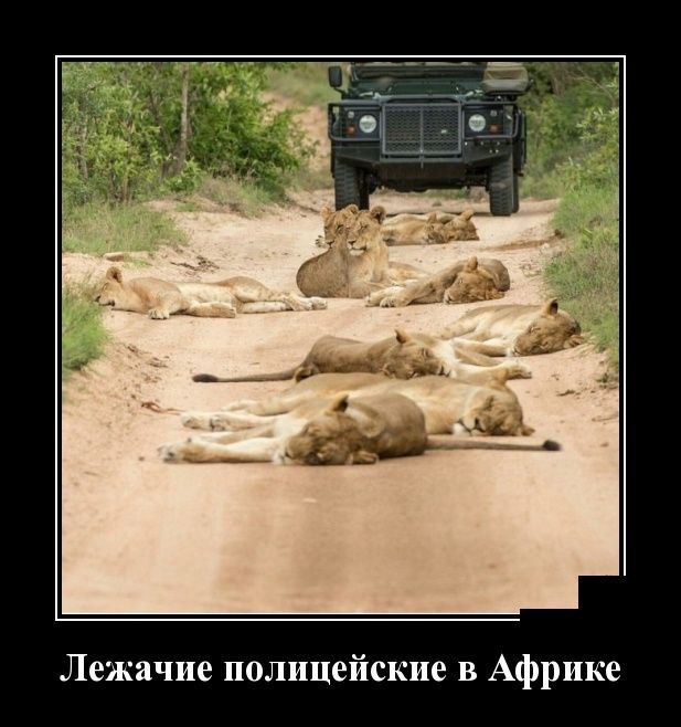 Креативный лежачий полицейский!