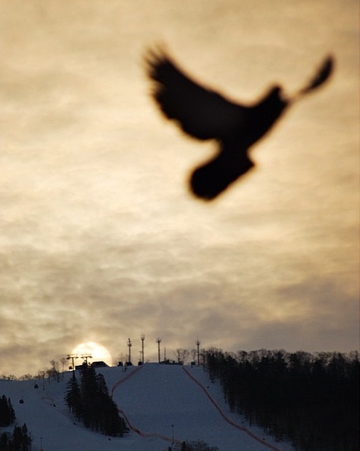 When there was not enough zest in the frame, but the dove quickly corrected everything. - My, Sakhalin, Yuzhno-Sakhalinsk, Mountain air, View from the window, Pigeon, Photographer, Reaction, Sunrise