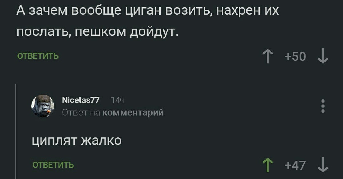 Цыган на цыпочках цыпленку цыкнул цыц | Пикабу