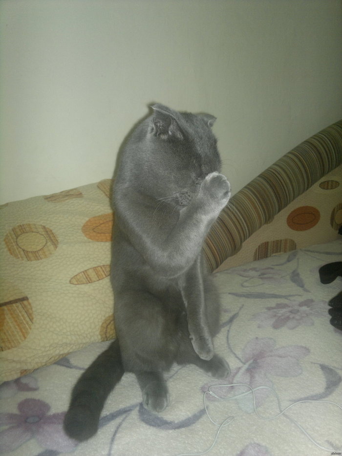 Менеджер первый раз.