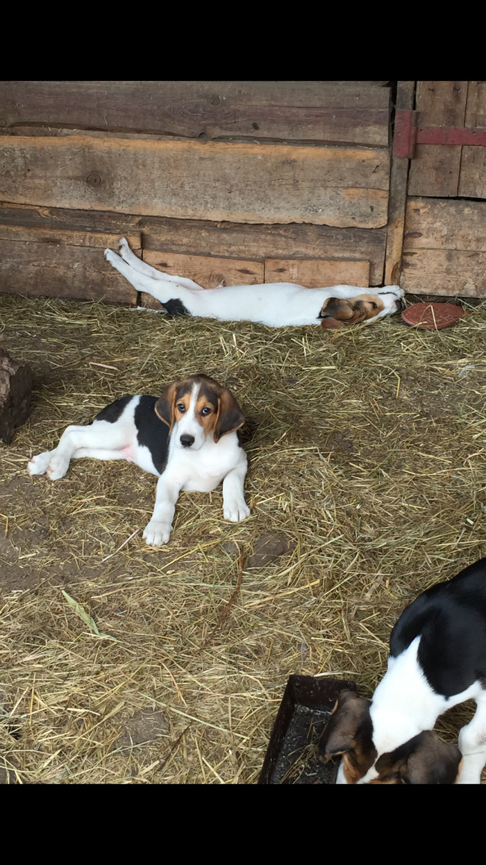 Вернуть 13% от оплаты за учебу