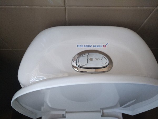 In the Moscow expanses - My, Politics, Vote, Toilet tank, Button, Elections