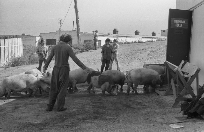 Фотографии без ретуши: Советская реальность в объективе Владимира Воробьева - Фотография, СССР, Фотограф, Новокузнецк, Длиннопост