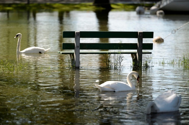 Here comes spring :) - Spring, The photo, Benches, Swans