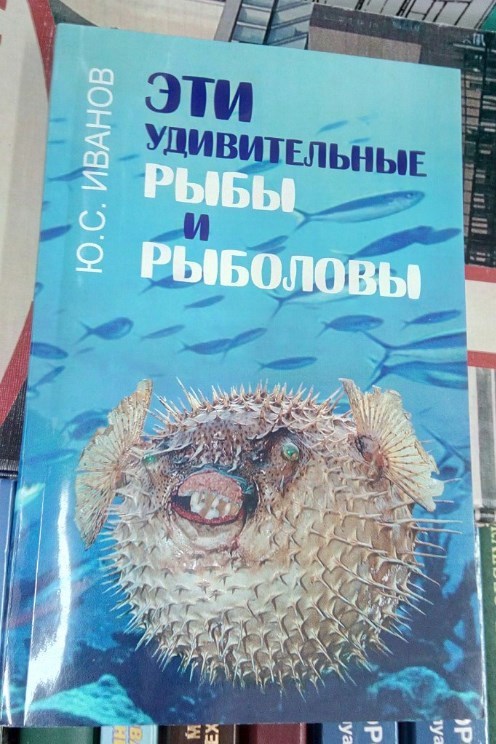 I see a rhyme - Вижу рифму, Puffer fish, Attempt at writing