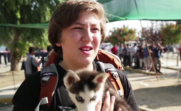 The photo of a Syrian teenager who traveled 500 km to Greece did not leave his beloved husky puppy quickly spread around the world. - Longpost, Husky, Person, People, Friend, Dog