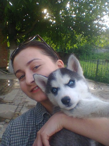 The photo of a Syrian teenager who traveled 500 km to Greece did not leave his beloved husky puppy quickly spread around the world. - Husky, People, Dog, Friend, Person, Longpost