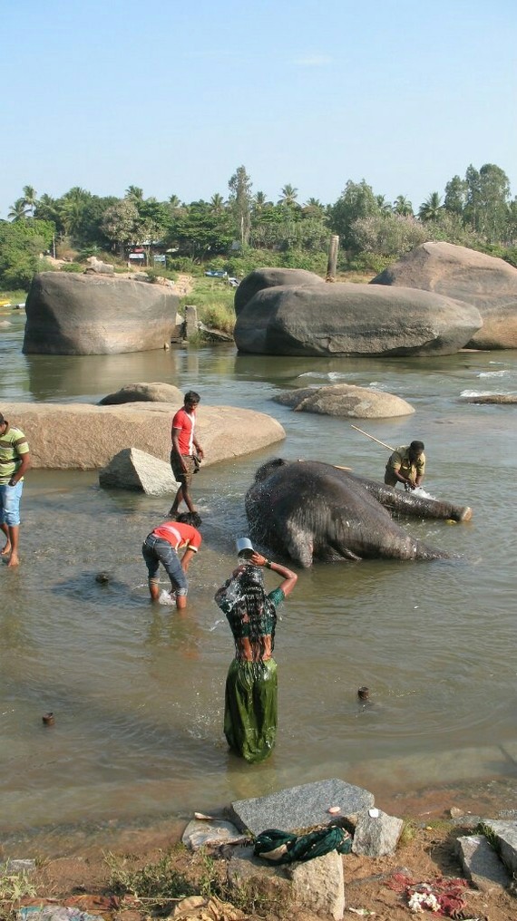 Bathing an elephant and a girl - Bathing, Elephants, The photo, Bathing