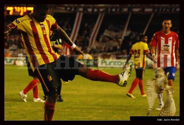 Two players expelled from the club for bullying a cat - Football, cat, , Venezuela, Longpost, Negative, Flailing