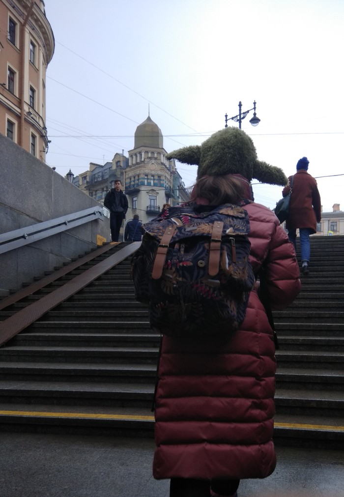 Master Yoda, is that you? - The photo, Yoda, Cap, What a twist, My, Saint Petersburg