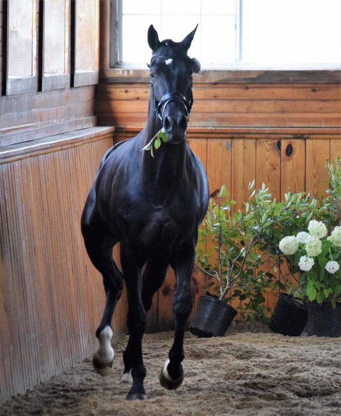 Хватай и беги