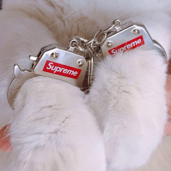Paws.... - cat, Paws, Handcuffs, Minimalism, , Glamor kitty, Supreme