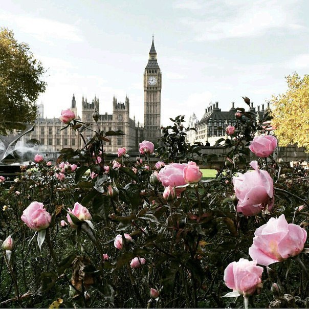 London, The United Kingdom - The photo, London, , Great Britain