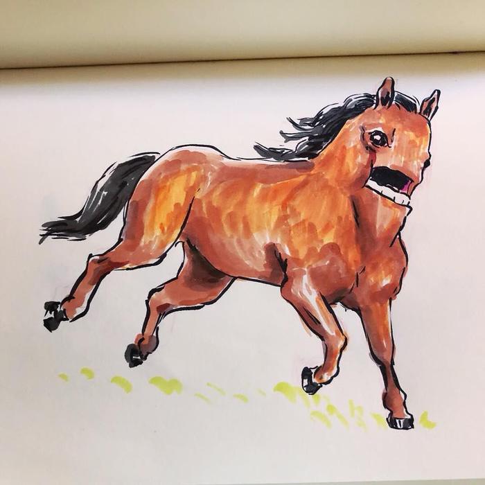Horse - Horses, Drawing, Stubbornness, Animals