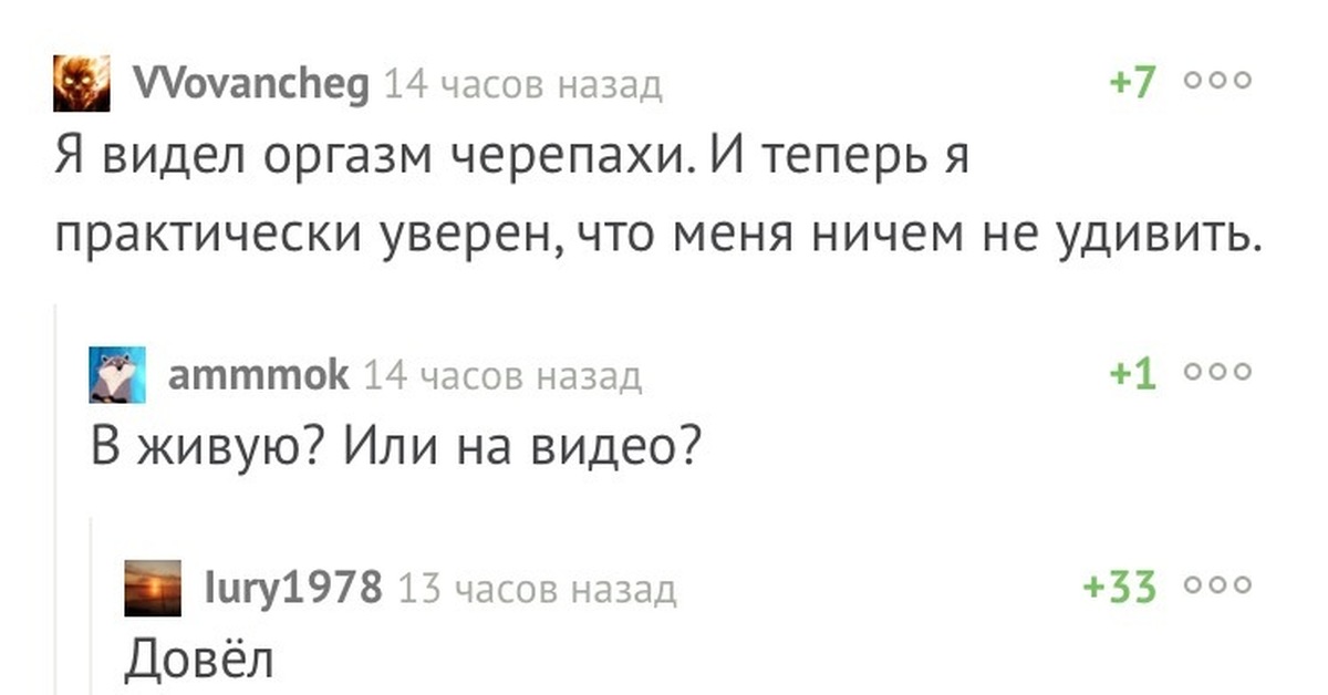 Вживые или в живые. В живую или вживую как пишется. Вживую или в живую как правильно написать. Увидеть вживую или в живую. Пообщаемся вживую или в живую.