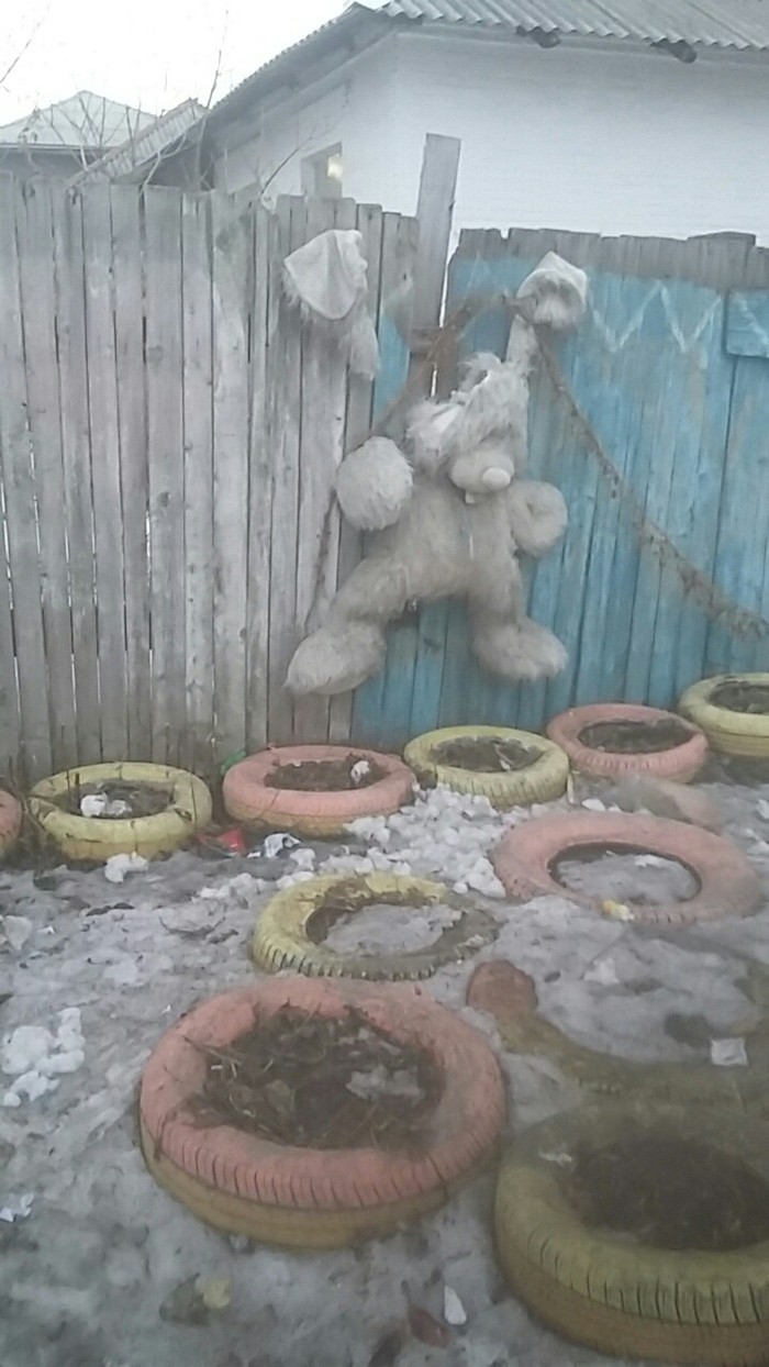 Не в тот район зашел медведь