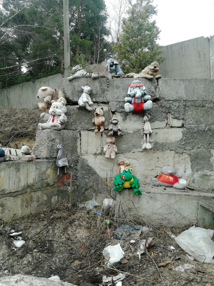 Garage cemetery of toys - My, The photo, Sadness, Toys, Soft toy, Time flies