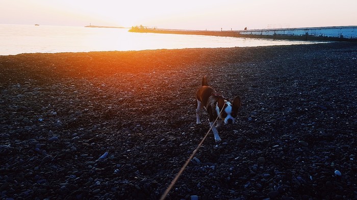 Sochi 08.04.2018 - My, Sochi, , Walk, Sea, Black Sea, Spring, Longpost