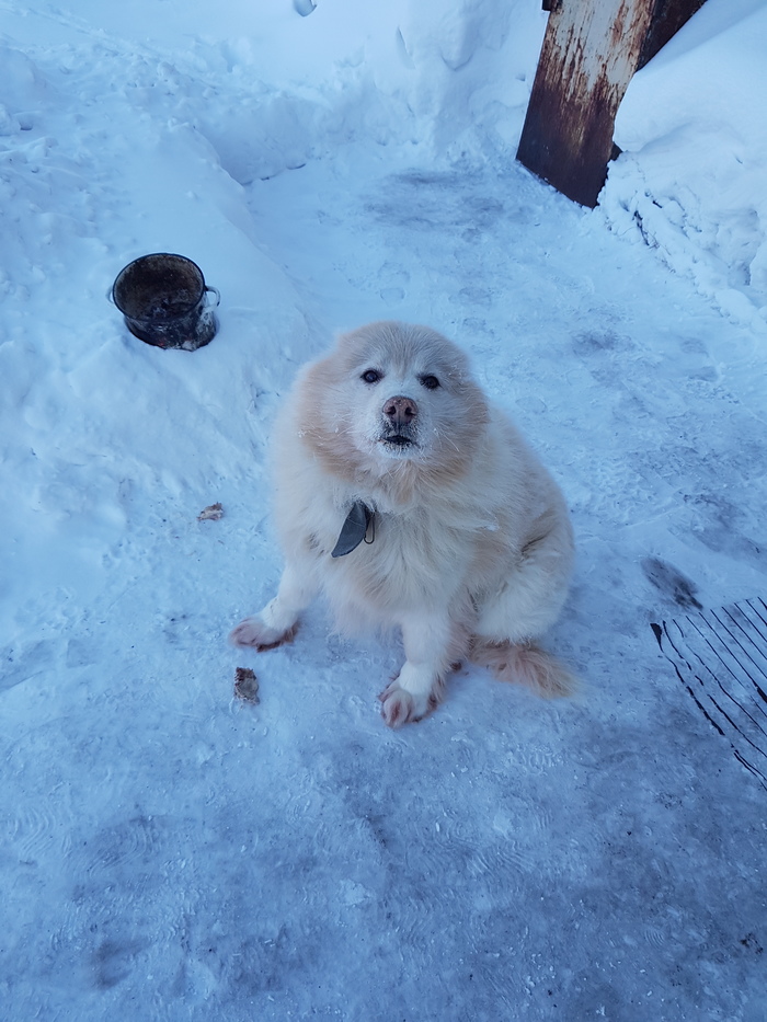 Заметки геолога. За полярным кругом. Якутия, Геология, Геологи, Снег, Длиннопост