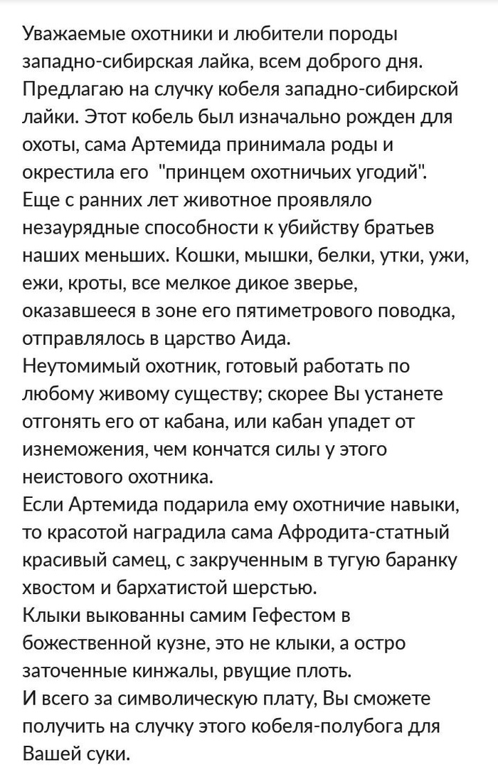Секс с официанткой в кафе (порно с актрисой Эбби Кэт)