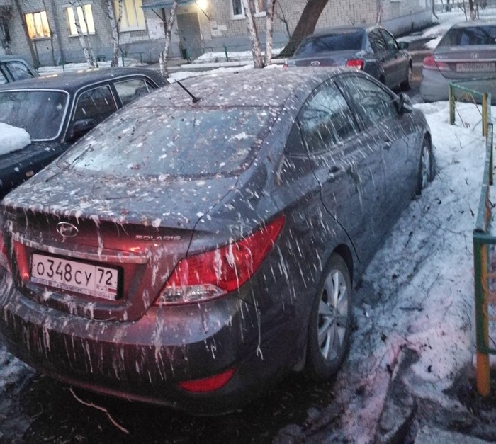 At gunpoint or rolled happiness - My, Tyumen, Birds, Auto, The photo