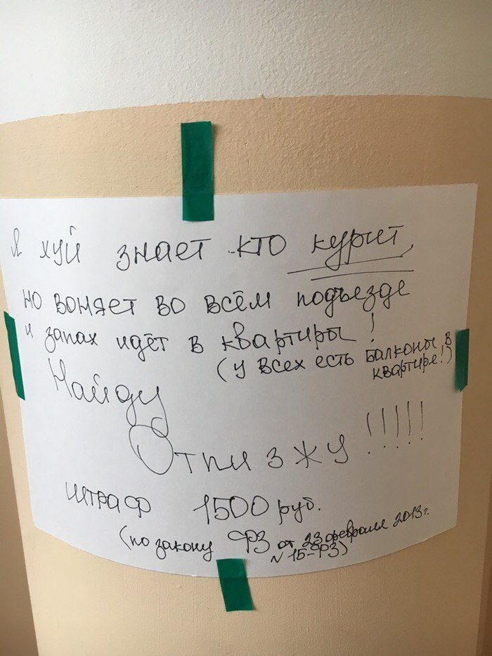 На волне объявлений в подъездах | Пикабу