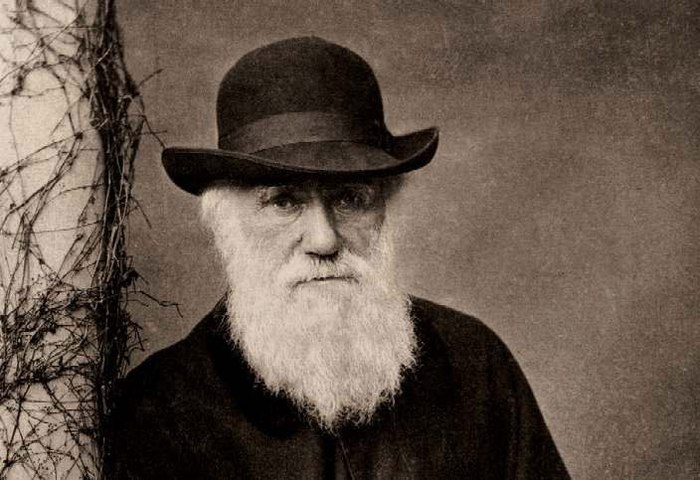 Charles Darwin and Evolutionary Theory. Part. one - Story, Evolution, Charles Darwin, Biology, Theory, Evolution theory, Zoology, Longpost