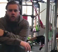 Good trainer and good advice - Sport, Тренер, Exercises, GIF