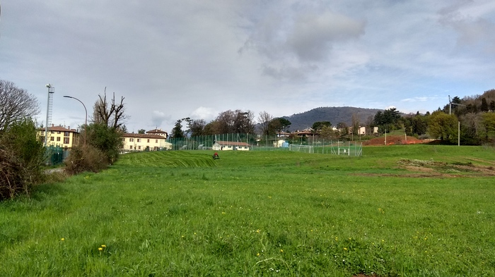 Fields in Italy and some flowers again - Field, Flowers, Flower, Italy, Longpost