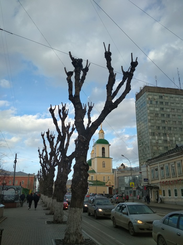 Spring in Perm. The trees show the rocker goat - My, Rock, Permian, Goat