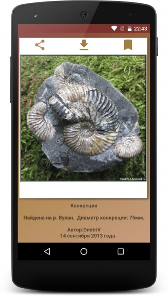 Paleontological app for Android - My, Paleontology, Appendix, Android, , Longpost