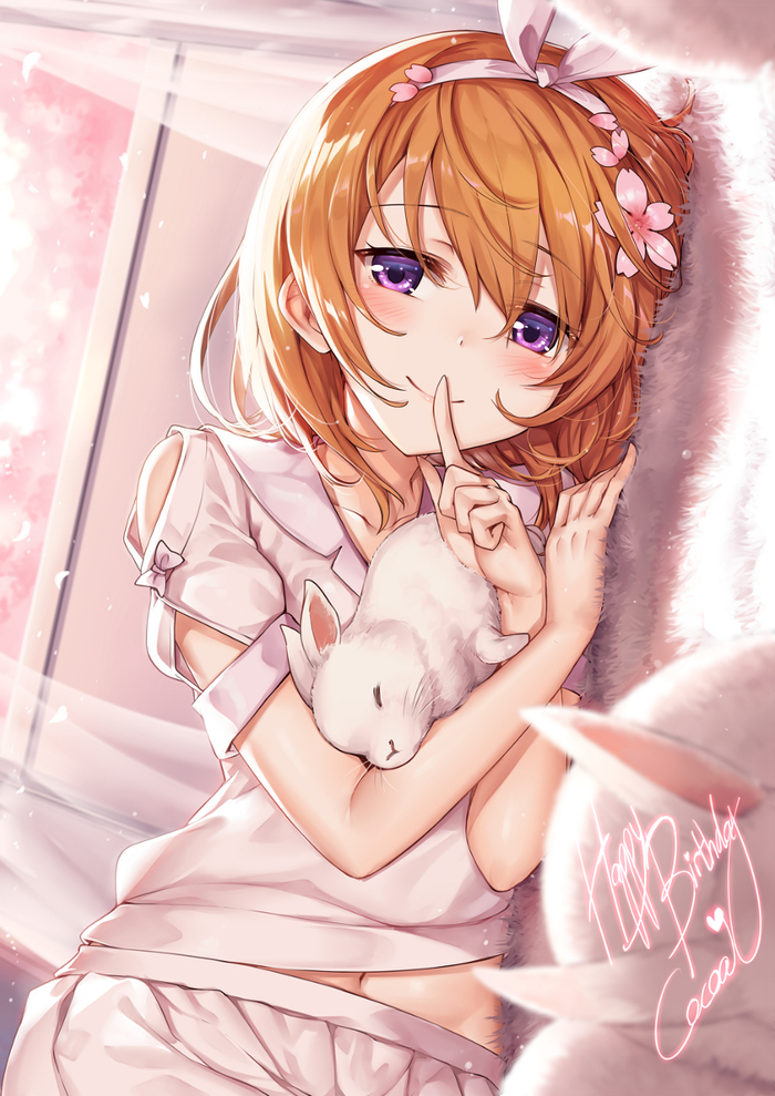 Happy Birthday Cocoa
 - Gochuumon wa usagi desu ka?, Hoto cocoa, Anime Art, Аниме