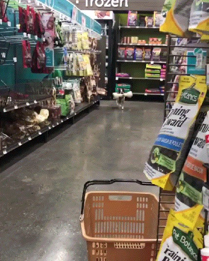 Всё что надо я взял, жду в машииинеее