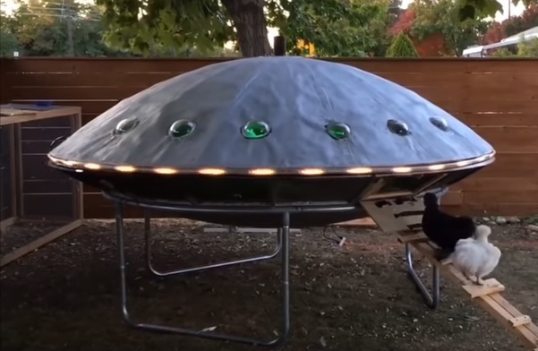 UFO Chicken coop =) - Pets, Hen, Chicken coop, UFO, USA, Video