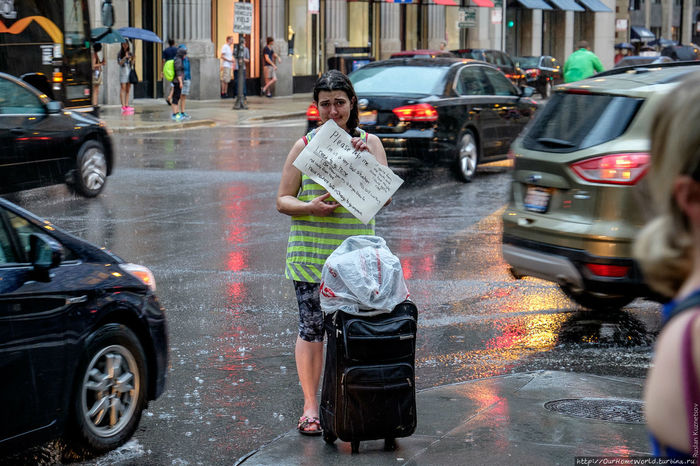 . 2015. &quot;   &quot;  &quot;   ,    ( )&quot;