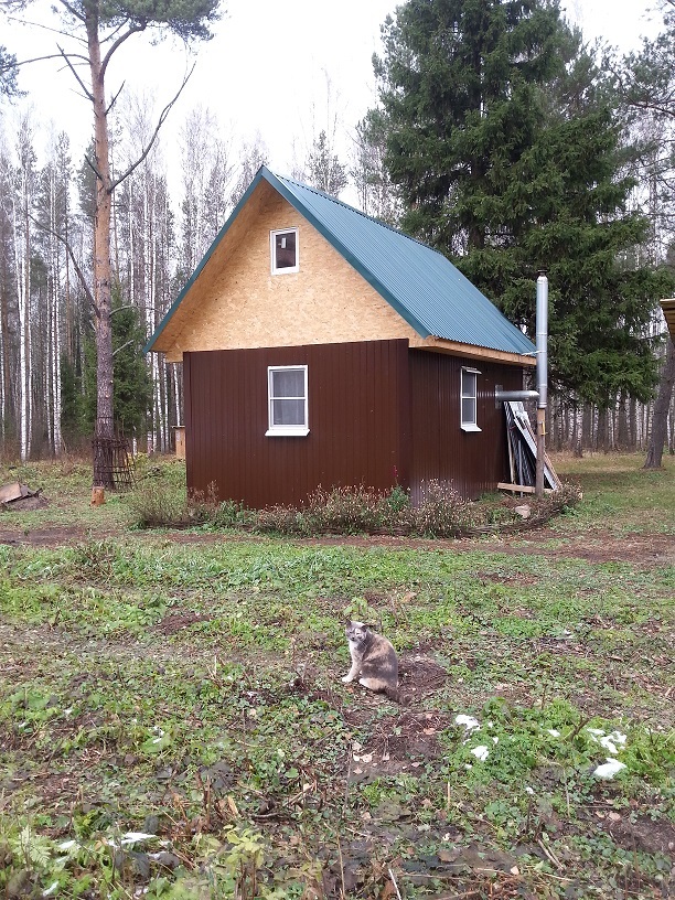 Abandoned church in the Meshchersky forests - My, Abandoned, Church, Abandoned place, Meshchera, Ruin, Longpost