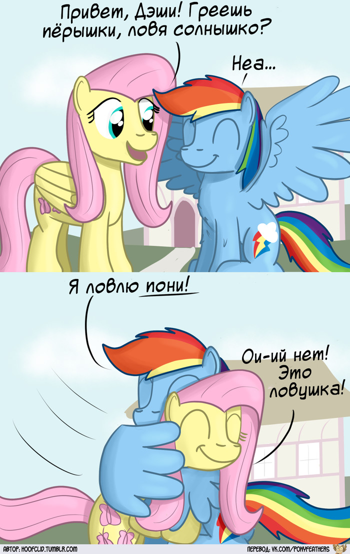 []  , , My Little Pony, Fluttershy, Rainbow Dash