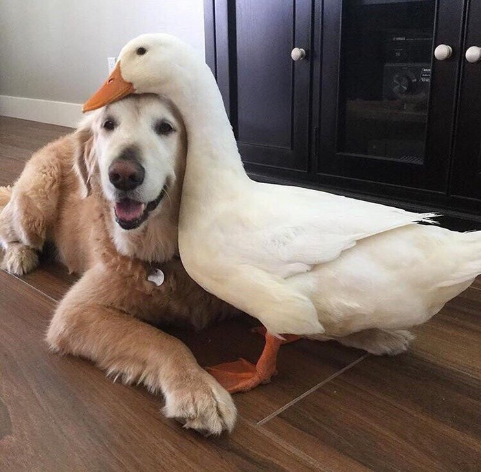      , , , ,  