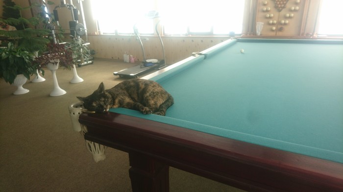 ���������� ����