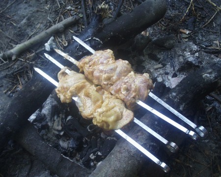 Chicken kebab - five wisdoms - Food, Recipe, Cooking, Hen, Shashlik, Longpost